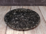 fossil soap dish