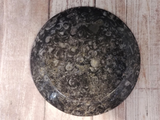 backside of fossil feeder dish