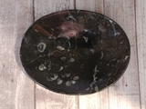 Fossil Feeder  plate from Morocco Plate A Gypsy Gems & Jewelry Naturally Uniqu