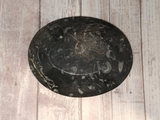 Backside of fossil plate