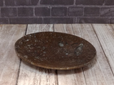 Fossil Feeder small brown oval plate from Morocco Plate A Gypsy Gems & Jewelry Naturally Unique