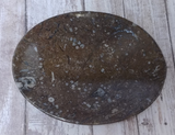 Fossil Feeder small brown oval plate from Morocco Plate B Gypsy Gems & Jewelry Naturally Unique