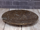 Fossil Feeder small brown oval plate from Morocco Plate B Gypsy Gems & Jewelry Naturally Unique
