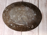 Backside of fossil plate