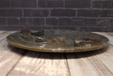 Side view of fossil plate