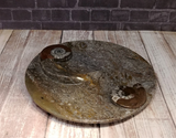 Ammonite fossil ying yang plate on ggandj.com gypsy gems & jewelry