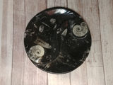 Ammonite fossil ying yang plate on ggandj.com gypsy gems & jewelry
