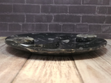 Side view of fossil plate