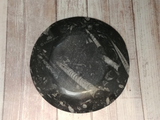 Backside of fossil plate