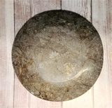 Backside of fossil plate