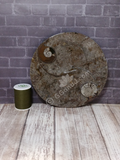 Ammonite fossil ying yang plate on ggandj.com gypsy gems & jewelry with thread spool size reference