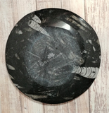 Backside of fossil plate