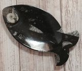 Fossil Feeder Fish Shaped plate from Morocco Plate A Gypsy Gems & Jewelry Naturally Unique