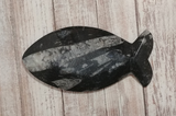 Backside of fossil fish plate