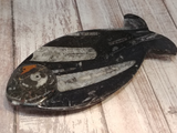 Fossil Feeder Fish Shaped plate from Morocco Plate B Gypsy Gems & Jewelry Naturally Unique