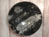 Hand crafted fossil feeder bowl for reptiles from Gypsy Gems & Jewelry GGandJ.com Naturally Unique