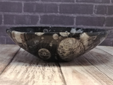 side view of orthoceras ammonite fossil feeder bowl