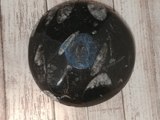 backside of fossil feeder bowl