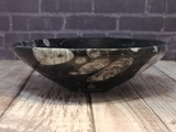 Side view of ammonite orthoceras mealworm feeder bowl
