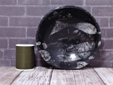 Fossil feeder bowl B