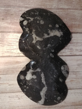 Back of ammonite  two heart plate gypsy gems & jewelry ggandj.com