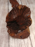 Close up of mushroom parasite burl