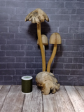 Indonesian Wood art mushroom statue gypsy gems & jewelry naturally unique with thread spool size reference