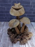 Back side wood frog on mushroom