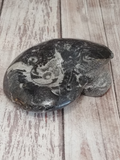 Ammonite fossil aquarium decor reptile supplies basking rock