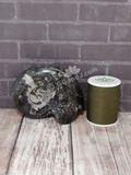 Ammonite fossil with thread spool size reference