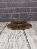 Side view of ammonite basker on GGandJ.com