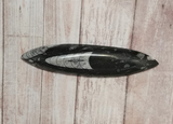 Orthoceras Fossil from Morocco on GGandJ.com Gypsy Gems & Jewelry Naturally Unique