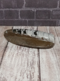 Raised Orthoceras Fossil Basker - Small