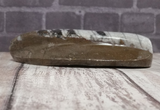 side view of orthoceras basker