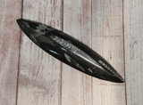 Orthoceras Fossil from Morocco on GGandJ.com Gypsy Gems & Jewelry Naturally Unique