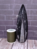 Orthoceras Basker Smooth Small - D reptile supplies heat basker rock natural fossil tank decor