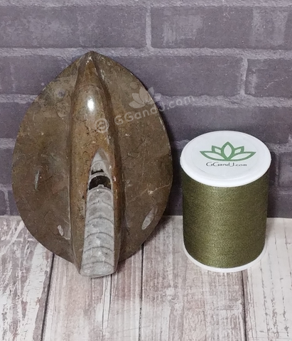 Orthoceras Basker Raised Small - A with thread spool Size Reference