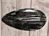 Orthoceras Basker Black Raised large - A reptile supplies heat basker rock natural fossil tank decor