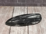 Orthoceras Fossil from Morocco on GGandJ.com Gypsy Gems & Jewelry Naturally Unique