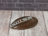 Orthoceras fossil from Morocco 200 million years old