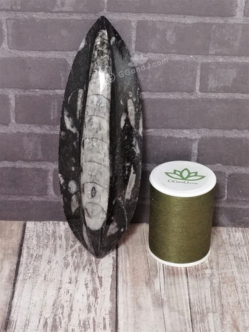 Orthoceras Basker Smooth large - A reptile supplies heat basker rock natural fossil tank decor