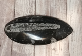 Orthoceras Fossil basker from Morocco on GGandJ.com Gypsy Gems & Jewelry Naturally Unique