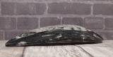 side view of orthoceras basker