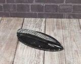 Orthoceras Fossil from Morocco on GGandJ.com Gypsy Gems & Jewelry Naturally Unique