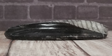 side view of orthoceras basker
