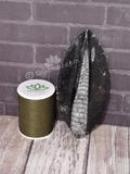 Orthoceras Basker Black Raised large - B reptile supplies heat basker rock natural fossil tank decor with thread spool size reference
