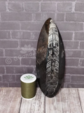 Orthoceras Basker Smooth large - C reptile supplies heat basker rock natural fossil tank decor
