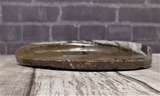 Side view of ammonite basker on GGandJ.com