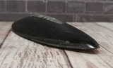 side view of orthoceras fossil naturally unique