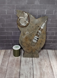 Fossil Statue with thread spool size reference